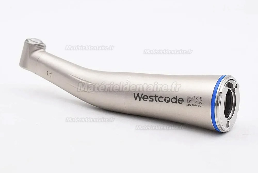 Contre-angle Westcode 1:1 (avec d'eau interne, fibre optique)